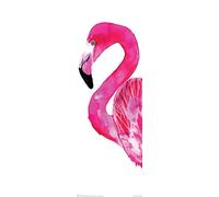 Pyramid International "Sofie Rolfsdotter (Flamingo) Slim Poster, Multi-Colour, 30 x 91.5 cm