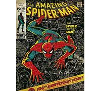 Pyramid International "Spider-Man 100th Anniversary Canvas Print, Multi-Colour, 30 x 40 x 1.3 cm