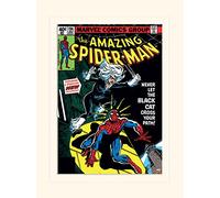 Pyramid International Spider-Man Black Cat Mounted Print Memorabilia, Multi-Colour, 30 x 40 x 1.3 cm
