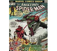 Pyramid International "Spider-Man Green Goblin Canvas Print, Multi-Colour, 30 x 40 x 1.3 cm
