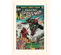 Pyramid International Spider-Man Green Goblin Mounted Print Memorabilia, Multi-Colour, 30 x 40 x 1.3 cm