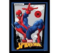 Pyramid International Spider-Man Meanwhile Collector Print 35cm x 45cm, Official Licensed Wall Art Gift