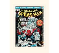 Pyramid International Spider-Man Sewer Mounted Print Memorabilia, Multi-Colour, 30 x 40 x 1.3 cm