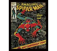 Pyramid International Spiderman (100th Anniversary) 30cm x 40cm Framed, Collectors Print - A Stunning Artwork to Enhance Your Collection or Living Space, One Size