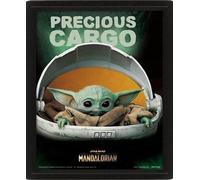 Pyramid Internationa - Star Wars The Mandalorian Precious Cargo - - H245z