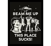 Pyramid International Stranger Things 5 (This Place Sucks) Collector Print 30cm X 40cm Framed Collector Print, Official Licensed Netflix Wall Art Poster, Ready To Hang, One Size