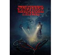 Pyramid International Stranger Things Canvas Print with Will's Bike 60cm x 80 cm - Official Merchandise