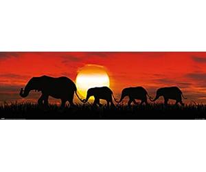 Pyramid International "Sunset Elephants Slim Poster, Multi-Colour, 30 x 91.5 cm