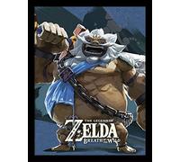 Pyramid International "The Legend of Zelda: Breath Of The Wild (Divine Beast Vah Rudani Framed Print Memorabilia, Multi-Colour, 30 x 40 cm