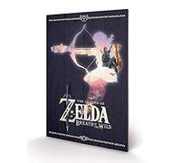 Pyramid International The Legend of Zelda: Breath Of The Wild Silhouette Wood Print, Multi-Colour, 40 x 59 cm