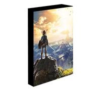 Pyramid International The Legend of Zelda Light Up Canvas (Into the Wilds Design) Large Canvas 30cm x 40cm - Official Merchandise, Black