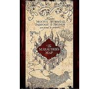 Pyramid International The Marauders Map Maxi Poster, Wood, Multi-Colour, 61 x 91.5 cm