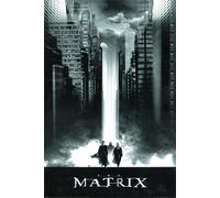Pyramid International The Matrix (Lightfall) Maxi Poster