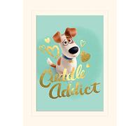 Pyramid International The Secret Life of Pets (Cuddle Addict) Mounted Print Memorabilia, Paper, Multi-Colour, 30 x 40 x 1.3 cm