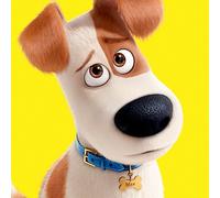 Pyramid International "the Secret Life of Pets Max Close up Canvas Print, Multi-Colour, 40 x 40 x 1.3 cm