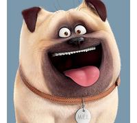 Pyramid International The Secret Life of Pets (Mel Close Up) -Canvas Print 40 x 40cm, Wood, Multi-Colour, 40 x 40 x 1.3 cm