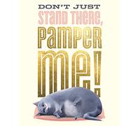 Pyramid International The Secret Life of Pets (Pamper Me) -Canvas Print 40 x 50cm, Wood, Multi-Colour, 40 x 50 x 1.3 cm
