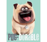 Pyramid International The Secret Life of Pets (Pug-Dorable) -Canvas Print 40 x 50cm, Wood, Multi-Colour, 40 x 50 x 1.3 cm
