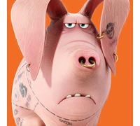 Pyramid International The Secret Life of Pets (Tattoo Close Up) -Canvas Print 40 x 40cm, Wood, Multi-Colour, 40 x 40 x 1.3 cm