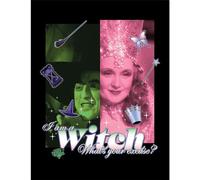 Pyramid International The Wizard Of Oz (I Am A Witch) Collector Print (Framed) 30cm x 40cm, One Size