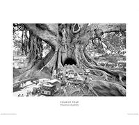 Pyramid International Thomas Barbey (Tourist Trap) -Art Print 60 x 80cm, Paper, Multicoloured, 60 x 80 x 1.3 cm