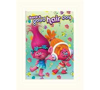 Pyramid International Trolls Have A Good Hair Day Mounted Print Memorabilia, Multi-Colour, 30 x 40 x 1.3 cm