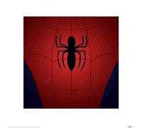 Pyramid International "Ultimate Spider-Man Torso Paper Art Print, Multi-Colour, 40 x 40 x 1.3 cm