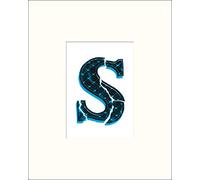 Pyramid International Vintage Letter S Mounted Print, Multi-Colour, 24 x 30 x 1.3 cm