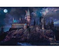 Pyramid International Wizarding World of Harry Potter Hogwarts School Cool Wall Decor Art Print Poster 60x90