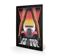 Pyramid International ZZ Top Legs Wood Print 40 x 59cm, Multi-Colour, 40 x 59 x 1.3 cm