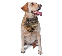 Pyramids of Egypt Dog Bandana Pet Scarf Accessories for Small Medium Dogs Cats Photo Prop, Triangle Pet Bandanas Adjustable Puppy Bib Washable Dog Kerchief Puppy Neckerchief