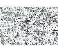 Pyrhan Paisley 100% Pure Cotton Prints - 60 inches (148 cm Approx) Wide Fabric Sold by The metre - Perfect for Sewing Projects and Dress Making. (WhiteBox)