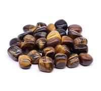 PYRWSM 5pcs Natural Tumbled Chiastolite Stone Mineral Specimen, 10-35mm Size Range For Home Aquarium Garden Decoration Craft