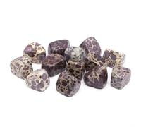 PYRWSM 5pcs Natural Tumbled Chiastolite Stone Mineral Specimen, 10-35mm Size Range For Home Aquarium Garden Decoration Craft