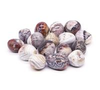 PYRWSM 5pcs Natural Tumbled Chiastolite Stone Mineral Specimen, 10-35mm Size Range For Home Aquarium Garden Decoration Craft