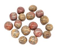 PYRWSM 5pcs Natural Tumbled Chiastolite Stone Mineral Specimen, 10-35mm Size Range For Home Aquarium Garden Decoration Craft