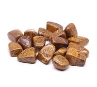 PYRWSM 5pcs Natural Tumbled Chiastolite Stone Mineral Specimen, 10-35mm Size Range For Home Aquarium Garden Decoration Craft