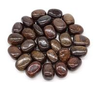 PYRWSM 5pcs Natural Tumbled Chiastolite Stone Mineral Specimen, 10-35mm Size Range For Home Aquarium Garden Decoration Craft