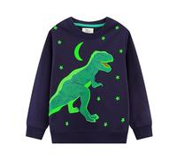 PythJooh Baby Boy Glow in The Dark Sweatshirt Kids Long Sleeve Cartoon Dinosaurs Sharks Animals Jumper Sweatshirt Tops for 1-7Years