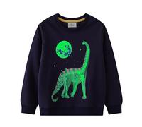 PythJooh Baby Boy Glow in The Dark Sweatshirt Kids Long Sleeve Cartoon Dinosaurs Sharks Animals Jumper Sweatshirt Tops for 1-7Years