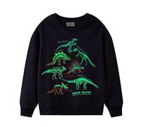 PythJooh Baby Boy Glow in The Dark Sweatshirt Kids Long Sleeve Cartoon Dinosaurs Sharks Animals Jumper Sweatshirt Tops for 1-7Years