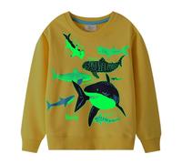 PythJooh Baby Boy Glow in The Dark Sweatshirt Kids Long Sleeve Cartoon Dinosaurs Sharks Animals Jumper Sweatshirt Tops for 1-7Years