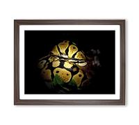 Python Snake 2 Modern Framed Print | A2 Walnut Framed Wall Art | Ready to Hang | Modern Nature Picture | Living Room Bedroom Lounge Office