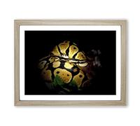 Python Snake 2 Modern Framed Wall Art Print, Ready to Hang Picture for Living Room Bedroom Home Office Décor, Oak A4 (34 x 25 cm)