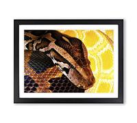 Python Snake 3 Modern Framed Print | A4 Black Framed Wall Art | Ready to Hang | Modern Nature Picture | Living Room Bedroom Lounge Office