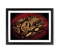 Python Snake 4 Modern Framed Print | A4 Black Framed Wall Art | Ready to Hang | Modern Nature Picture | Living Room Bedroom Lounge Office