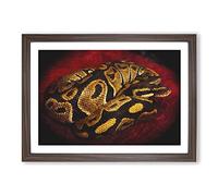 Python Snake Painting Framed Print | A2 Walnut Framed Wall Art | Ready to Hang | Modern Historical Picture | Living Room Bedroom Lounge Office