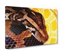 Python Snake Vol.3 Canvas Print | Gallery Wrapped 30mm Frame Wall Art | 20x14 inches | Ready to Hang | Modern Animals Picture | Living Room Bedroom Lounge Office