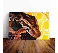 Python Snake Vol.3 Canvas Print | Gallery Wrapped 30mm Frame Wall Art | 20x14 inches | Ready to Hang | Modern Animals Picture | Living Room Bedroom Lounge Office
