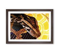 Python Snake Vol.3 Framed Print | A2 Walnut Framed Wall Art | Ready to Hang | Modern Nature Picture | Living Room Bedroom Lounge Office